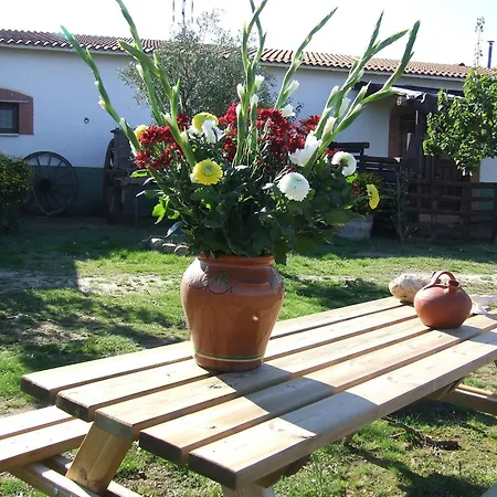 El Chorrillo Apartment Alcuescar