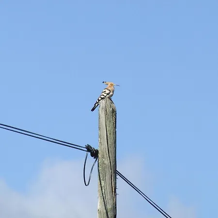Lägenhet El Chorrillo *