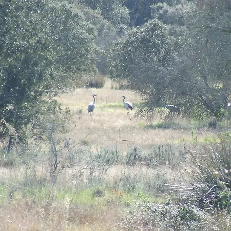 El Chorrillo Lägenhet